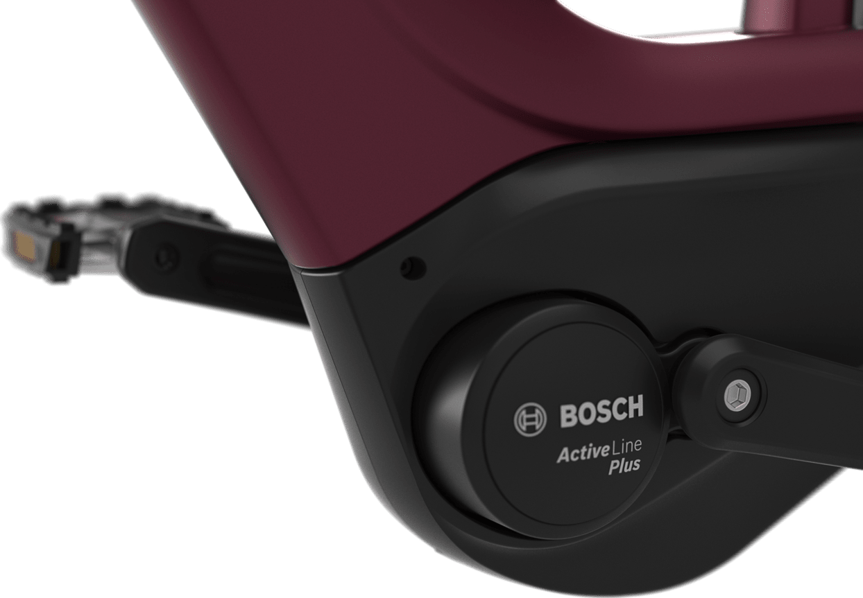 Bosch Active Line Motor